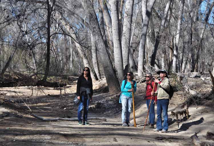 hikers